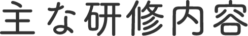 主な研修内容