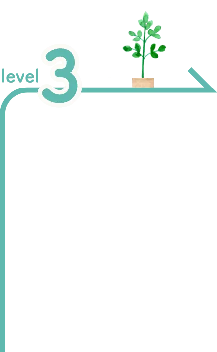 level 3